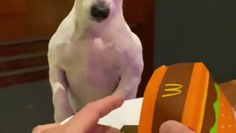 😂🤯 Big Mac Surprise You Won't Forget! | FunFM