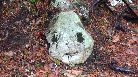 Rad Rock