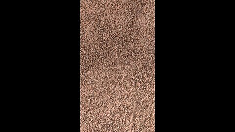 Test 0903-5
