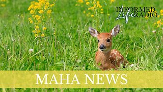 Informed Life Radio 07-25-25 MAHA News