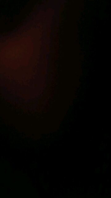 warning to a lying cuck