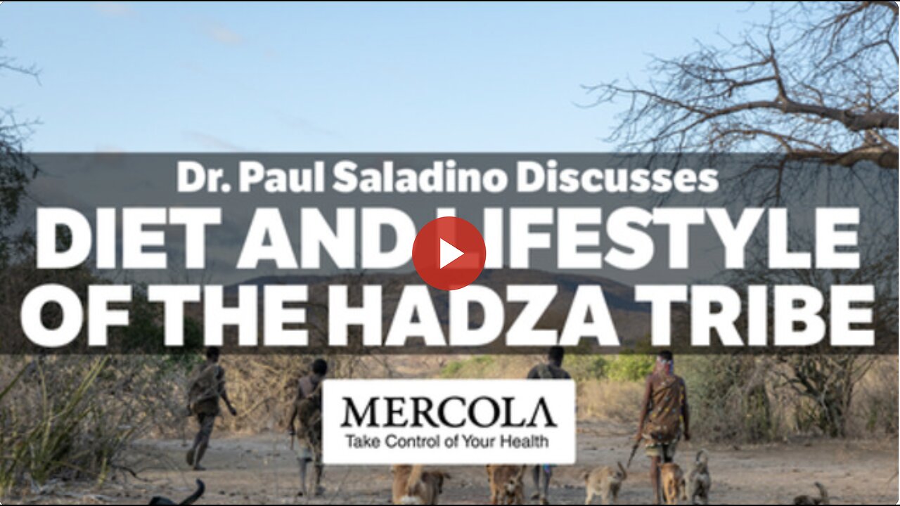 Diet and Environment- Interview with Dr. Paul Saladino