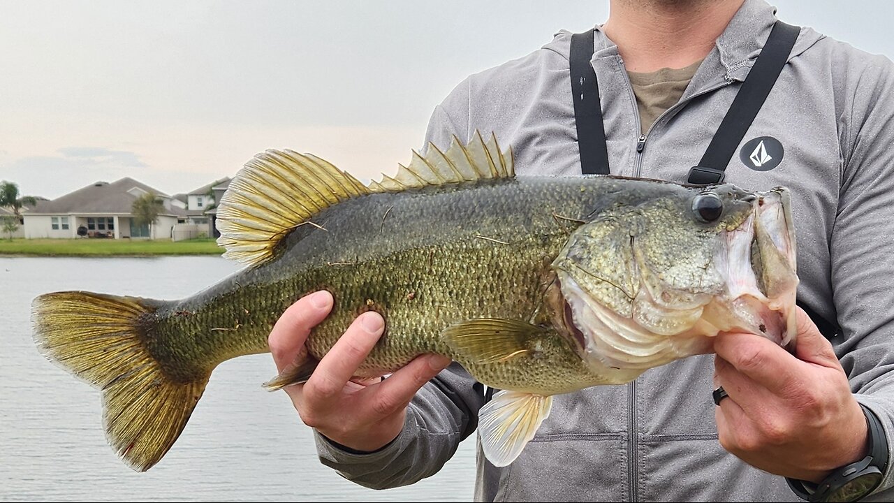 fishing and chilling between appointments