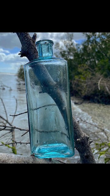Old Blue Bottle Found in New Smyrna Mangroves