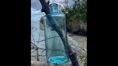 Old Blue Bottle Found in New Smyrna Mangroves