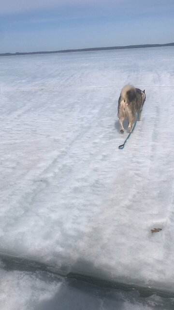 Thursday March 13, The Lord is our God, the Lord alone.