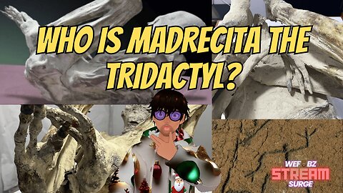 Madrecita: 1.45m Tridactyl “Little Mother” Mummy of Nazca, Peru 👽 | Wefobz Stream Surge #27