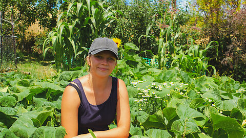 A delightful unexpected surprise