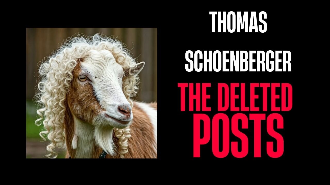 Thomas Schoenberger: The Deleted Posts