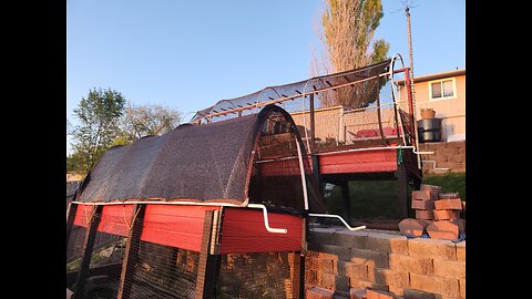 Hoop house for my raised bed