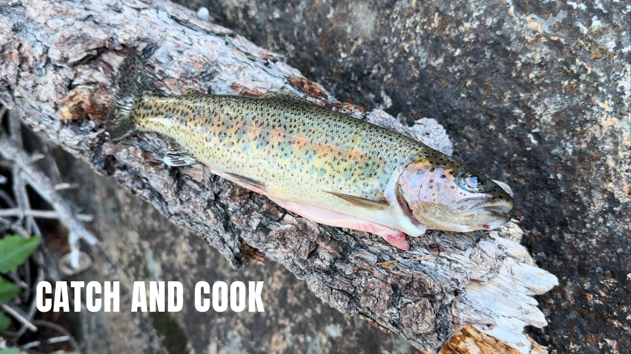 Fishing SOLO in the MOUNTAINS!!! CATCH and COOK (1/3)