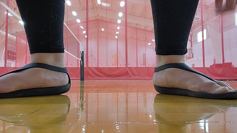 275.5