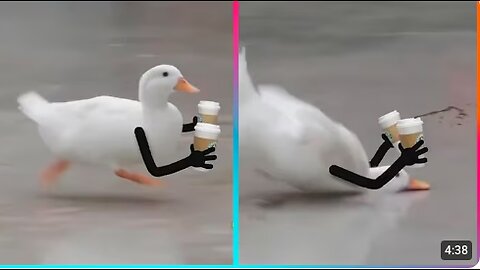 Birds with Arms being the Funniest Thing Ever