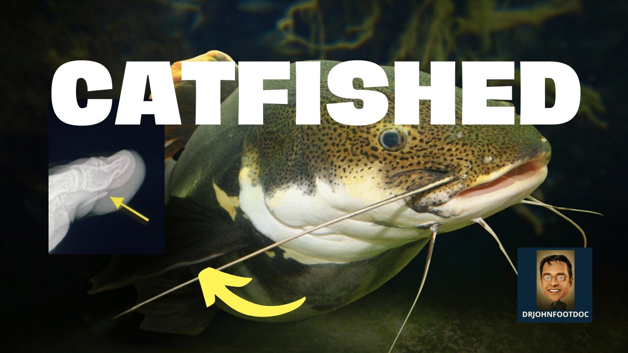 Catfished?