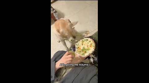 AI Dog Goes Bananas – Funniest Moments Ever!