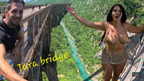 It seems unbelievable 😱 | Tara Canyon in Montenegro 🇲🇪