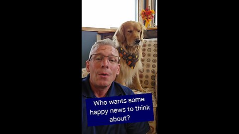 Who wants some happy news to think about?