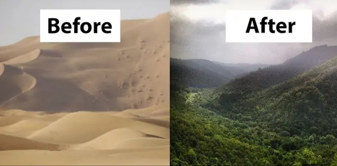 How China Turned The Dessert Into Green Forest