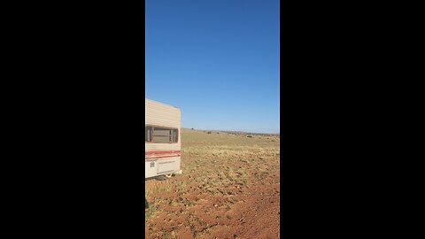 Antelope