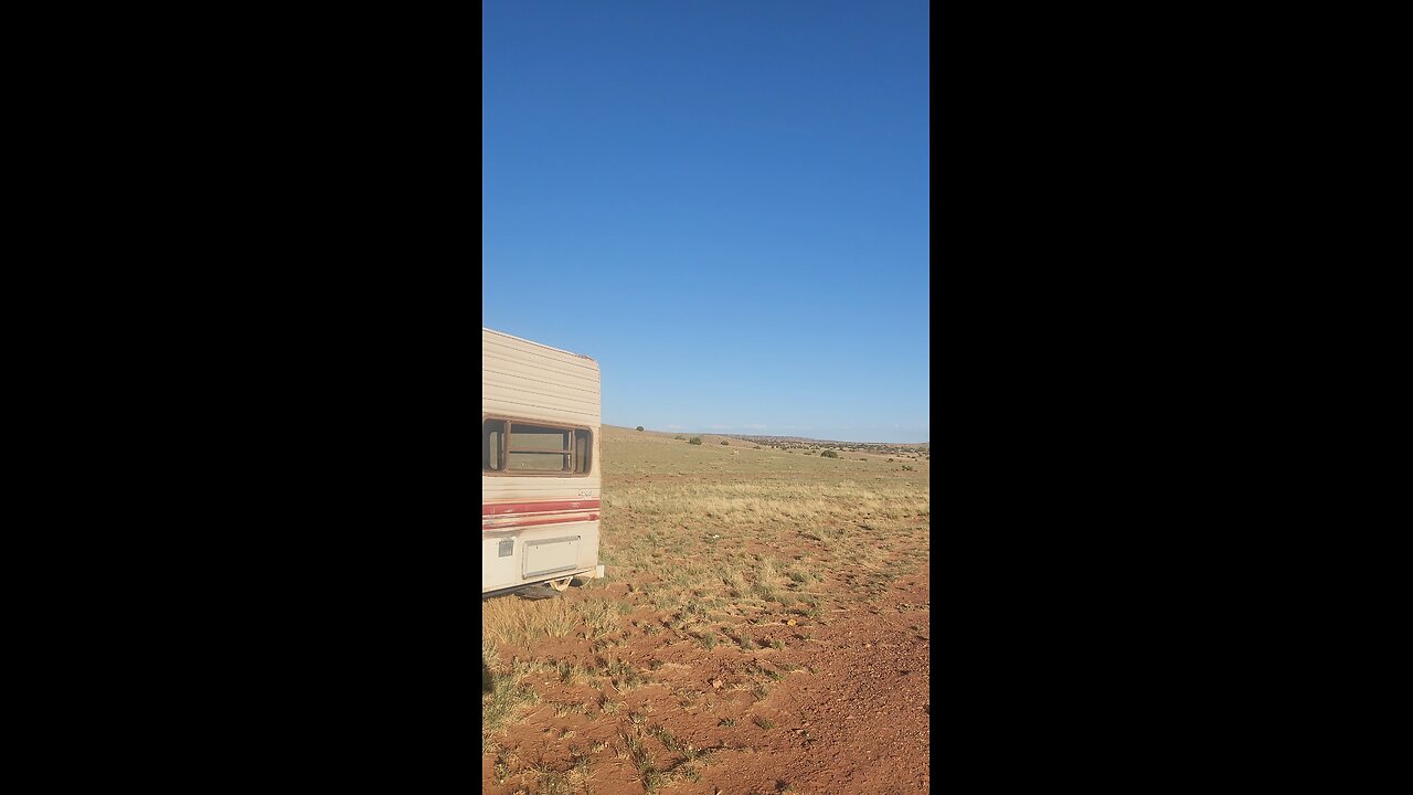 Antelope