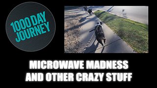 1000 Day Journey 0838 Microwave Madness and other Crazy Stuff