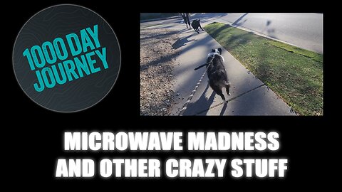 1000 Day Journey 0838 Microwave Madness and other Crazy Stuff
