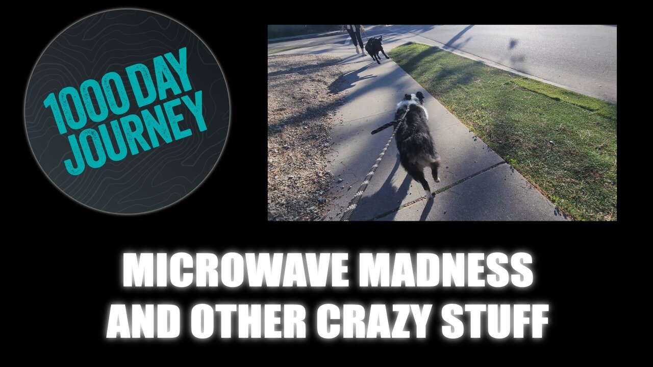 1000 Day Journey 0838 Microwave Madness and other Crazy Stuff