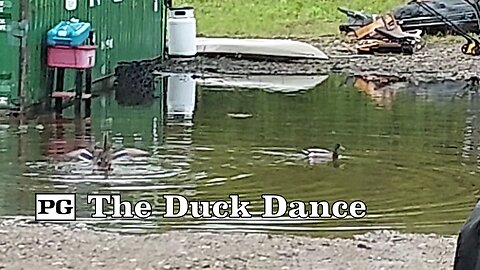 I'll take Things You See On The Homestead for $500 Alex | Duck Dance