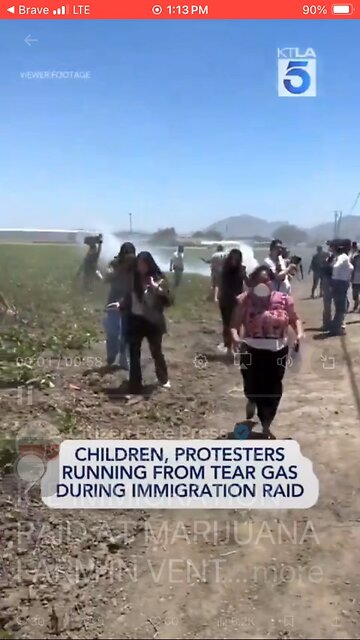 VIDEO of ICE raid on marijuana farm in Ventura county