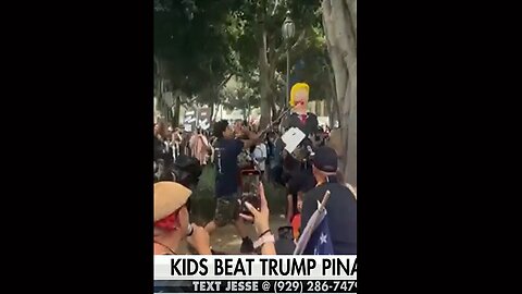 Watters: Trump Protests Were “Super Bowl for Cat Ladies”
