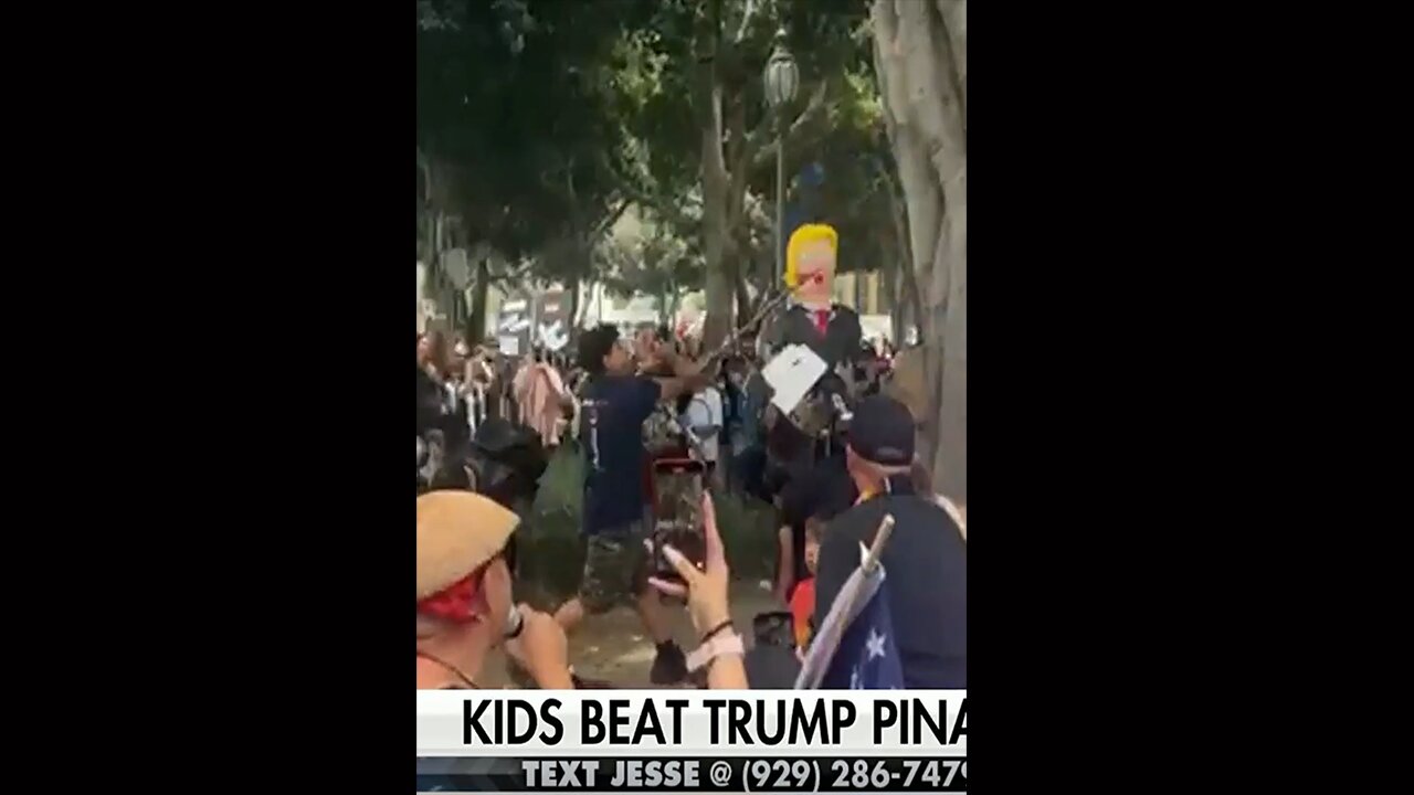 Watters: Trump Protests Were “Super Bowl for Cat Ladies”