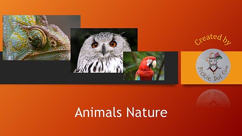 Wild Animals in Nature | Relaxing & Viral Wildlife Moments 🌿