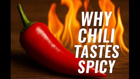 🌶 Why Chili Tastes Spicy – The Science of Heat 🌡🔥