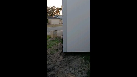 puppy door