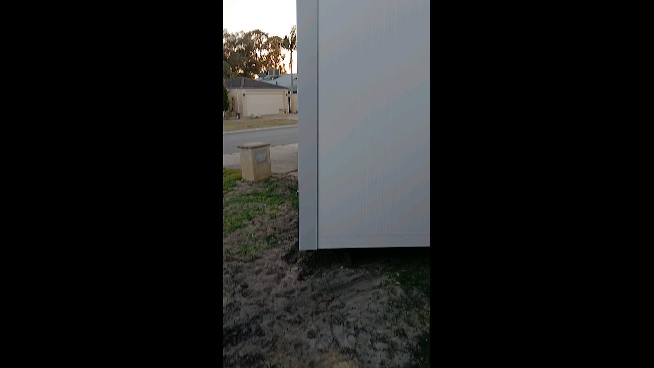 puppy door