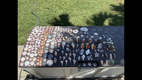 Beach Finds 5/13/2025 | 4K