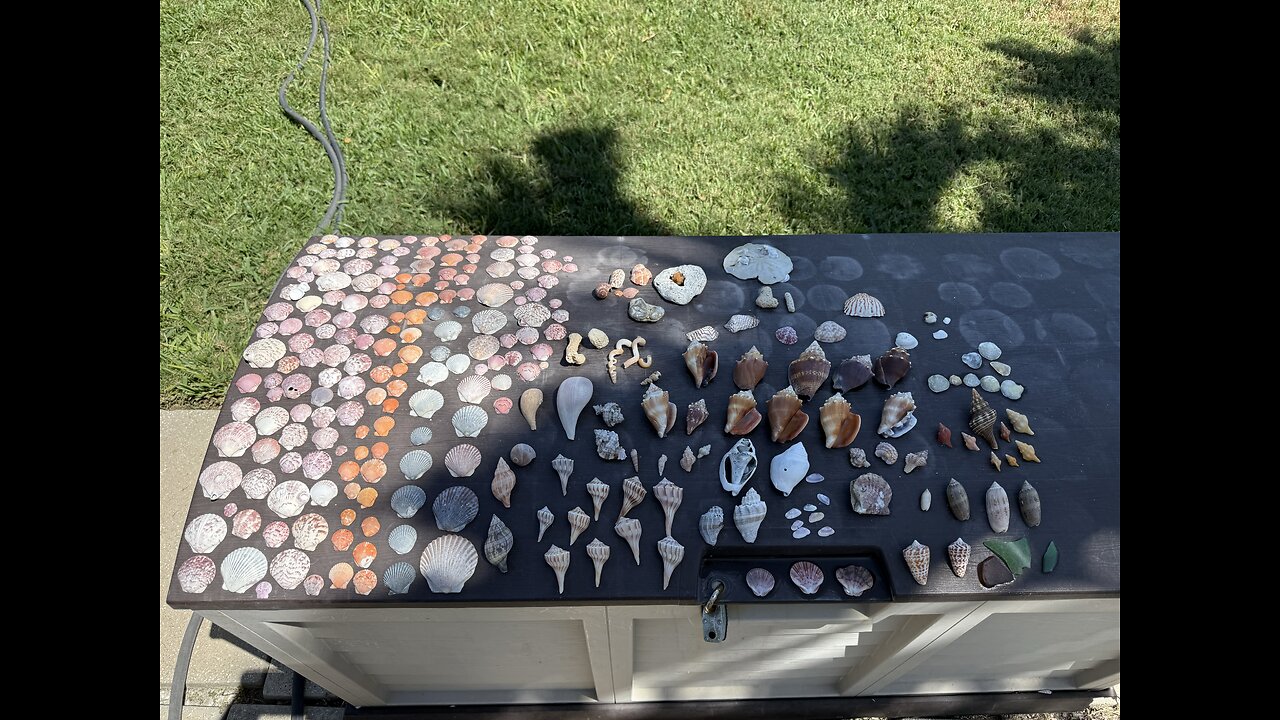 Beach Finds 5/13/2025 | 4K