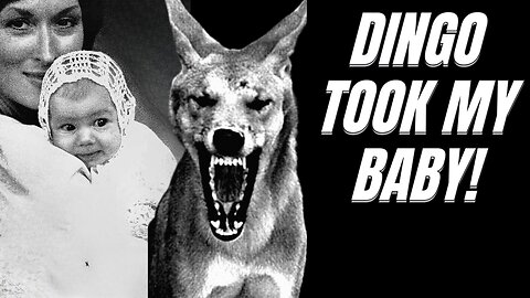 Snatched by a Wild Dog - True Horror