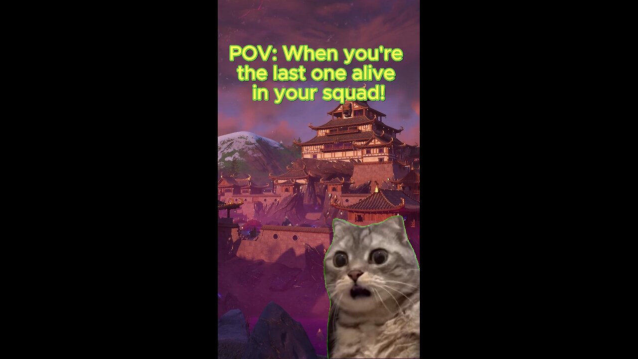 POV: When you're the LAST one ALIVE in your squad!