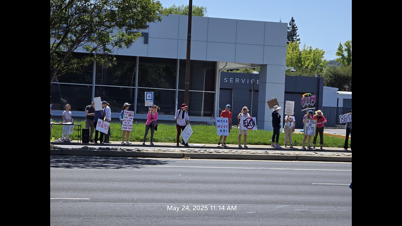 Silicon Valley, Lynley Crashes Los Gatos Libtard TESLA Protest!