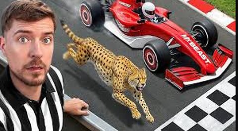 World's Fastest Car Vs Cheetah!