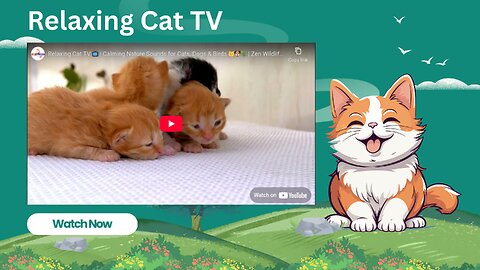 Relaxing Cat TV 📺 | Calming Nature Sounds for Cats, Dogs & Birds 🐱🐶🦜 | Zen Wildlife Video