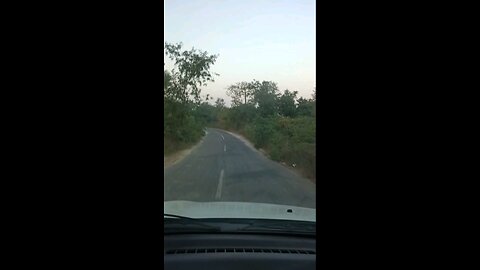 satisfying Video