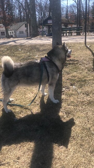 Friday April 11, Let us strip off every weight that slows us down.