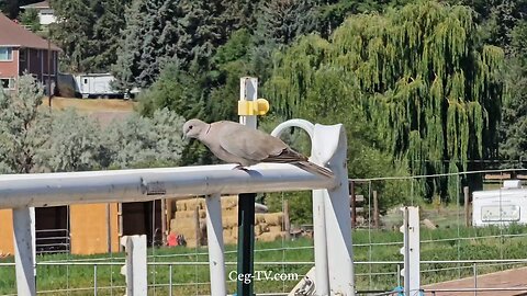 Graham Family Farm NW: 10:00 AM July 16 2025
