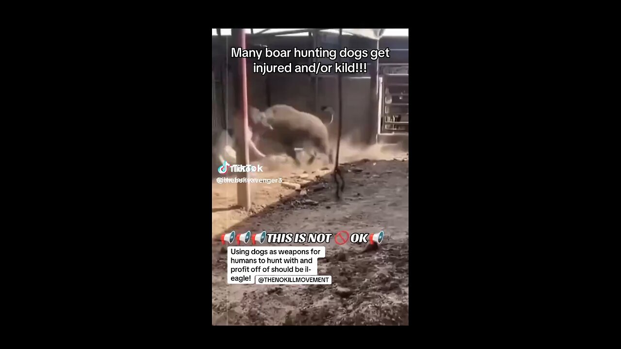 please help stop this