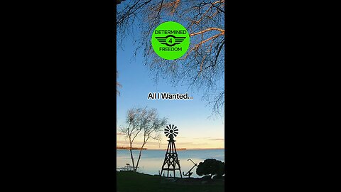 All I Wanted...