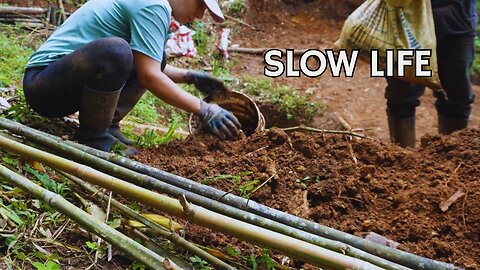 The Joy Of Baking and Working Outside in Nature | Slow Life Colombia