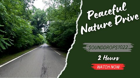 2 Hours of Peaceful Nature Drive Sound