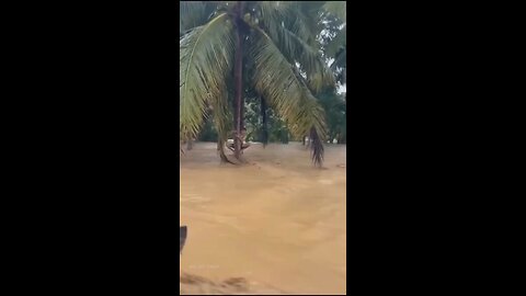 ❗️A severe series of floods amid heavy rains hit the island of Sumatra